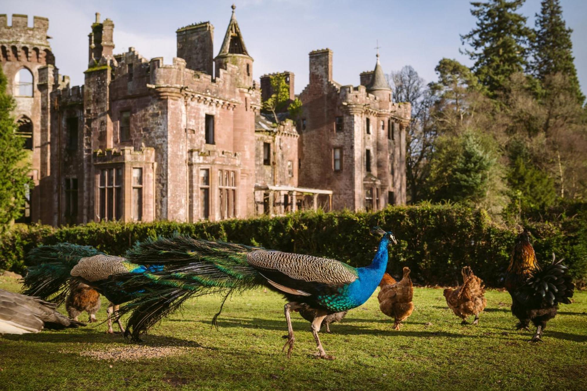 Luxury Woodland Lodge Retreat At Culdees Castle كريف المظهر الخارجي الصورة